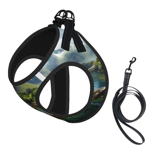 Hundegeschirr mit Norwegen-Insel-Druck, reflektierend, Haustierweste, Welpengeschirr, Leine-Set, für Spaziergangstraining von XTYGETY