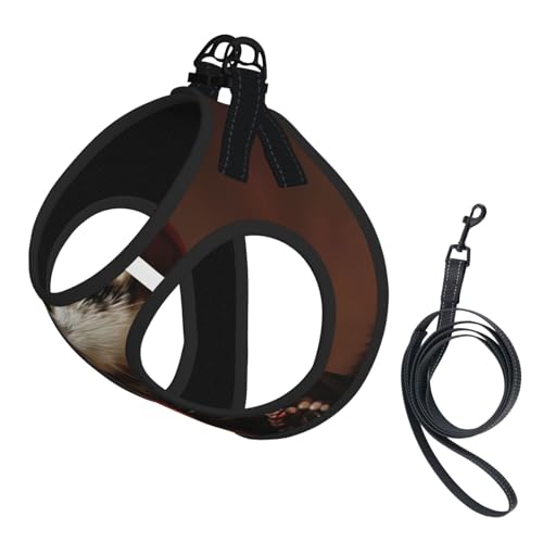 Hundegeschirr mit französischem Frettchen-Druck, reflektierend, Haustierweste, Welpengeschirr, Leine-Set, für Spaziergangstraining von XTYGETY