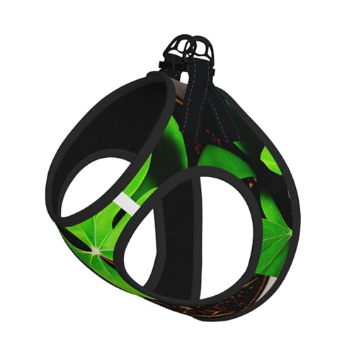 St Patricks Day Hundegeschirr mit Blätteraufdruck, reflektierend, Haustierweste, Welpengeschirr, Leine-Set, für Spaziergangstraining von XTYGETY
