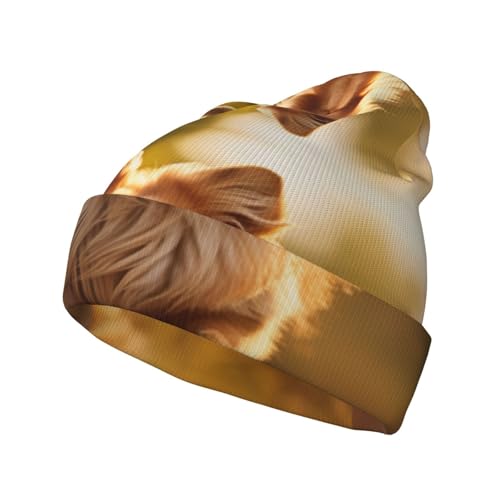 Uni Strickmütze für Hunde, warm, für Damen, Wintermütze, stilvolle Beanie-Mütze, mit Bündchen von XTYGETY