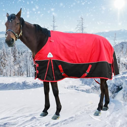 Pferdepflegedecke, Winter, 1600D, Premium-Pferdedecke, mittelschwer, wasserdicht, mit Weidehalsbezug, abnehmbar (US 135 cm), ohne Bezug) von XUANNIAO