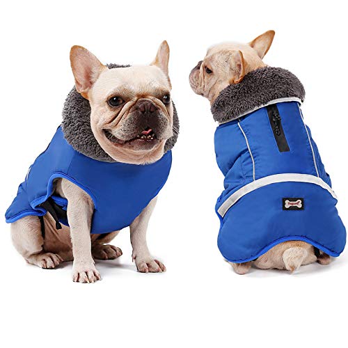 XUANNIAO Hundemäntel für kaltes Wetter, warme Winterjacken, reflektierende Weste, Retro-Stil, wasserdicht und winddicht für Hunde (Blau, L) von XUANNIAO