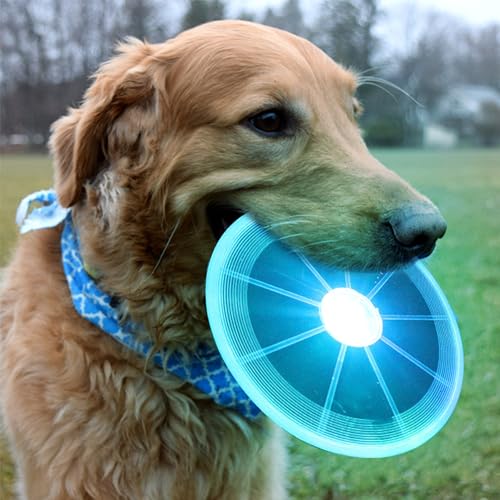 XUBX 2 Stück Hunde Frisbees, Verdickt Hund Scheibe, Hundespielzeug Frisbee, Gummi Frisbee, Hundefrisbee, Frisbee Hund, Training Hundespielzeug Set für Hundetraining, Werfen, Lila und blau von XUBX