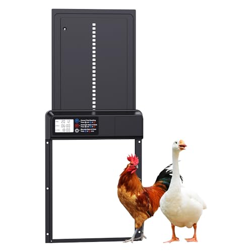 XUBX Automatische Stalltür, wasserdichte Hühnertür mit Timer und manuellem Modus, automatische Hühnertür, Aluminiumlegierungsmaterial, sichere Aufbewahrung, für Geflügel (schwarz) von XUBX