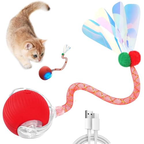 XUDUOO Interaktives Katzenspielzeug für Hauskatzen von XUDUOO