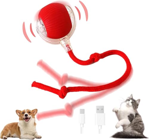 XUDUOO Interaktives Katzenspielzeug für Indoor-Katzen, Automatisches Katzenspielzeug Smart Rolling Ball, USB Wiederaufladbare Katze Beweglicher Ball Spielzeug, Hunde Haustier Ball für Alle Böden & XUDUOO Interaktives Katzenspielzeug für Indoor-Katzen, Automatisches Katzenspielzeug Smart Rolling Ball, USB Wiederaufladbare Katze Beweglicher Ball Spielzeug, Hunde Haustier Ball für Alle Böden & von XUDUOO