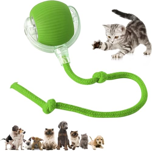 XUDUOO Interaktives Katzenspielzeug für Indoor-Katzen, Automatisches Katzenspielzeug Smart Rolling Ball, USB Wiederaufladbare Katze Beweglicher Ball Spielzeug, Hunde Haustier Ball für Alle Böden & von XUDUOO