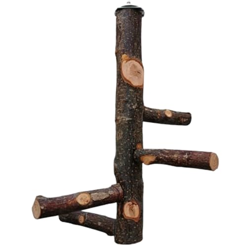 XUEYEGONGJI Bird Barch Stand Toy, 12 -Zoll -Natürlichkeitsholz -Vogelperch in Käfig, Holz -Papagei -Barsch, Papageienspielständer, Vogelkäfigzubehör von XUEYEGONGJI