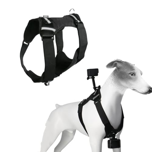 XUMIUZIY Hundekabelbaumhalterung für Actionkamera, Einstellbare Pet -Weste -Gürtel -Kamera Brust und Rückengurt für Actionvideo, Große Mittelgroße und Kleine Hunde XUMIUZIY Hundekabelbaumhalterung für Actionkamera, Einstellbare Pet -Weste -Gürtel -Kamera Brust und Rückengurt für Actionvideo, Große Mittelgroße und Kleine Hunde von XUMIUZIY