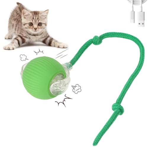 XUNNIU Neue Magic Ball Hund/Katzen,Interaktives katzenspielzeug elektrisch mit Schwanz,Automatisches intelligenzspielzeug für Katzen,interaktiver spielball für Katzen,Hund,Chewie Rolling Ball,Grün XUNNIU Neue Magic Ball Hund/Katzen,Interaktives katzenspielzeug elektrisch mit Schwanz,Automatisches intelligenzspielzeug für Katzen,interaktiver spielball für Katzen,Hund,Chewie Rolling Ball,Grün von XUNNIU