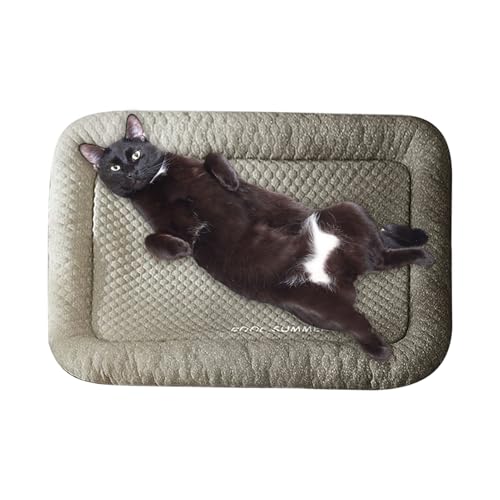 XUQEAYWD Haustier Kühlmatte, Kühlfunktion Für Hundebetten, Tragbares Bett Für Welpen Katzen Und Kaninchen Zum Schlafen In Hundezwingern Käfigen Wohnzimmer Und Küche von XUQEAYWD