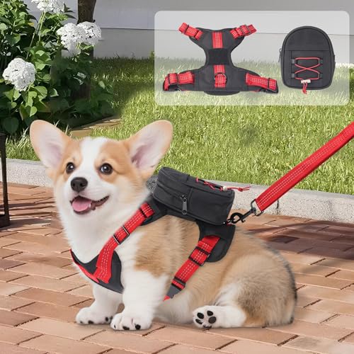 Hunderucksackgeschirr für kleine bis mittelgroße Hunde, verstellbare und leichte Haustiertragetasche mit integriertem Kotbeutelspender, wasserabweisend und sicher zum Wandern, Reisen, Welpentraining Hunderucksackgeschirr für kleine bis mittelgroße Hunde, verstellbare und leichte Haustiertragetasche mit integriertem Kotbeutelspender, wasserabweisend und sicher zum Wandern, Reisen, Welpentraining von XUVIRA