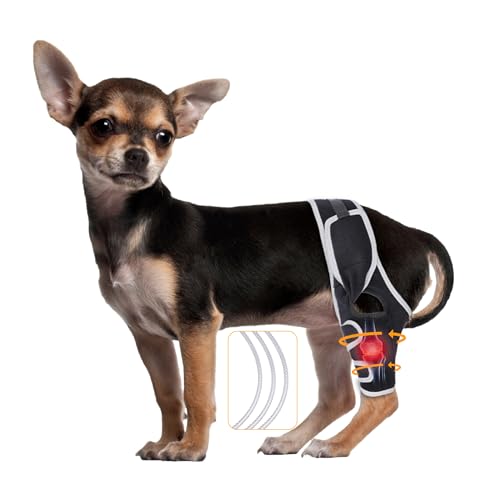XUVIRA Hunde-Beinbandage bei Akl- und Bänderverletzungen - Verstellbare Unterstützung für Gelenkschmerzlinderung und Muskelerholung - Passend für Vorder- oder Hinterbeine - Leicht und bequem, XS XUVIRA Hunde-Beinbandage bei Akl- und Bänderverletzungen - Verstellbare Unterstützung für Gelenkschmerzlinderung und Muskelerholung - Passend für Vorder- oder Hinterbeine - Leicht und bequem, XS von XUVIRA