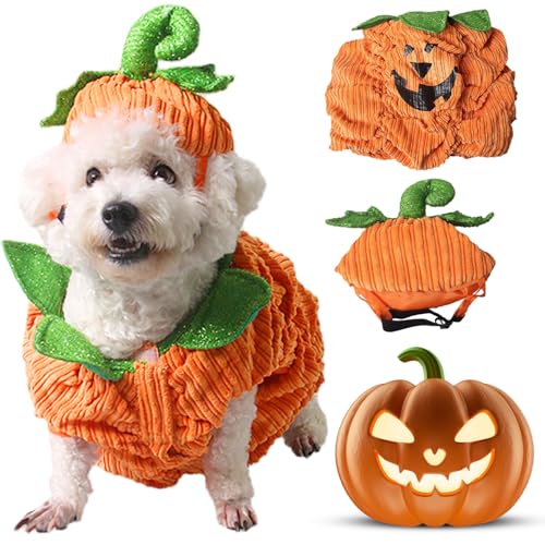 Halloween -Hundekostüm mit Kürbishut -Hausplay -Outfits für kleine mittlere große Hund m von XVHOAB