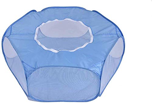 XWBLDBDFC Kleintier-Laufstall, Tierkäfigzelt, atmungsaktiv, transparent, Haustier-Laufstall mit Abdeckung oben, automatisches Öffnen, Indoor-Outdoor-Übung, faltbarer Hofzaun für kleine Tiere, Blau XWBLDBDFC Kleintier-Laufstall, Tierkäfigzelt, atmungsaktiv, transparent, Haustier-Laufstall mit Abdeckung oben, automatisches Öffnen, Indoor-Outdoor-Übung, faltbarer Hofzaun für kleine Tiere, Blau von XWBLDBDFC