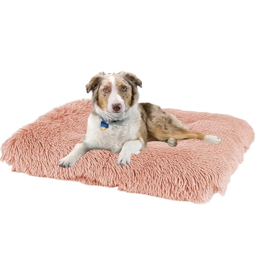 Hundebett Katzenbett, Hundekissen Rutschfest Haustierbett, Hundematratze Hundesofa, Anti Stress Hundekorb Hundekiste Matratze, Katzenkörbchen für Große, Mittelgroße & Kleine Hunde(122x85x12cm) von XXIUDEE