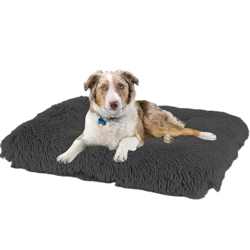 Hundebett Katzenbett, Hundekissen Rutschfest Haustierbett, Hundematratze Hundesofa, Anti Stress Hundekorb Hundekiste Matratze, Katzenkörbchen für Große, Mittelgroße & Kleine Hunde(122x85x12cm) von XXIUDEE