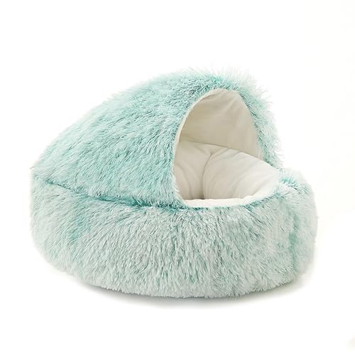 Katzenbetten für Haustiere im Innenbereich mit rutschfester Unterseite, flauschiges Katzenzeltbett, Kätzchen-Höhlenhaus mit abnehmbarem, waschbarem Kissen, Haustierhöhlen (50 x 15 cm, Stil 2, Grün) Katzenbetten für Haustiere im Innenbereich mit rutschfester Unterseite, flauschiges Katzenzeltbett, Kätzchen-Höhlenhaus mit abnehmbarem, waschbarem Kissen, Haustierhöhlen (50 x 15 cm, Stil 2, Grün) von XXIUDEE