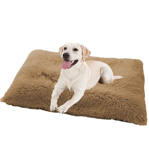 Rutschfestes Hundebett Hundekissen, Hundekorb Hundekiste Matratze, Katzenbett Haustiere Katzen Kissen, Hundematratze Hundesofa Katzensofa, Haustierbett, für Klein-mittelgroße Hunde(78x55x10cm) von XXIUDEE