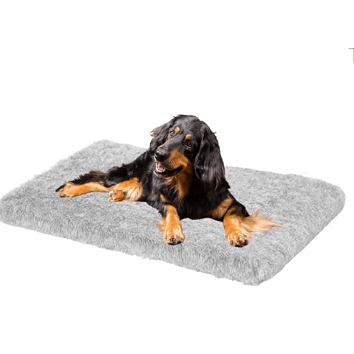 XXIUDEE Anti-Rutsch Hundekissen für Große, Mittelgroße & Kleine Hunde, Hundebett Welpenbett Maschinenwaschbar Haustierbett, Hundekörbchen Hundesofa, Hundekiste Matratze, Zwinger-Auflage(50x40x5cm) XXIUDEE Anti-Rutsch Hundekissen für Große, Mittelgroße & Kleine Hunde, Hundebett Welpenbett Maschinenwaschbar Haustierbett, Hundekörbchen Hundesofa, Hundekiste Matratze, Zwinger-Auflage(50x40x5cm) von XXIUDEE