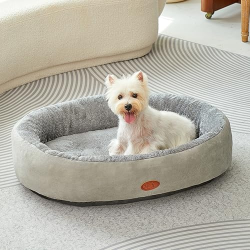 XXIUDEE Großes Hundebett, Anti-Angst-Bett für Hunde und Katzen, waschbar, beruhigende Haustiermatratze, Matte für kleine, mittelgroße und große Haustiere mit rutschfester Unterseite (90 x 66 x 13 cm XXIUDEE Großes Hundebett, Anti-Angst-Bett für Hunde und Katzen, waschbar, beruhigende Haustiermatratze, Matte für kleine, mittelgroße und große Haustiere mit rutschfester Unterseite (90 x 66 x 13 cm von XXIUDEE