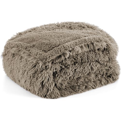 XXIUDEE Haustier-Abdeckdecken, Hundedecken für kleine, mittelgroße und große Hunde und Katzen, Welpenbettdecken, warmer Schlaf, Katzenmatten, waschbar, Möbelschutz für Couch, Autositz (Khaki, 70 x 50 XXIUDEE Haustier-Abdeckdecken, Hundedecken für kleine, mittelgroße und große Hunde und Katzen, Welpenbettdecken, warmer Schlaf, Katzenmatten, waschbar, Möbelschutz für Couch, Autositz (Khaki, 70 x 50 von XXIUDEE
