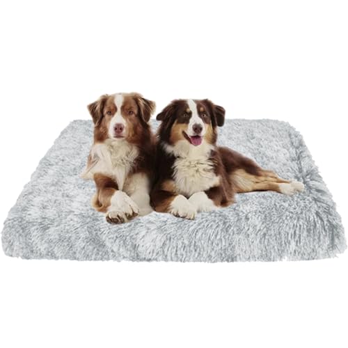 XXIUDEE Haustierbett Katzenbett Hundekorb, Hundesofa Hundebett, Hundekissen, Maschinenwaschbar Hundekäfigbett, Hundekiste Matratze, Zwinger-Auflage für Große, Mittelgroße & Kleine Hunde(120x80x10cm) XXIUDEE Haustierbett Katzenbett Hundekorb, Hundesofa Hundebett, Hundekissen, Maschinenwaschbar Hundekäfigbett, Hundekiste Matratze, Zwinger-Auflage für Große, Mittelgroße & Kleine Hunde(120x80x10cm) von XXIUDEE