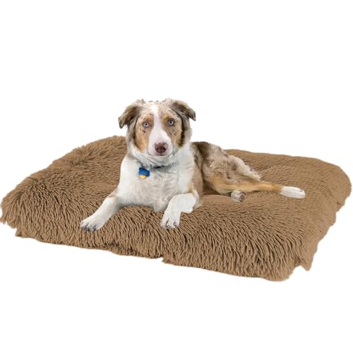 XXIUDEE Hundebett Katzenbett, Hundekissen rutschfest Haustierbett, Hundematratze Hundesofa, Anti Stress Hundekorb Hundekiste Matratze, Katzenkörbchen für Große, Mittelgroße & Kleine Hunde(65x48x8cm) XXIUDEE Hundebett Katzenbett, Hundekissen rutschfest Haustierbett, Hundematratze Hundesofa, Anti Stress Hundekorb Hundekiste Matratze, Katzenkörbchen für Große, Mittelgroße & Kleine Hunde(65x48x8cm) von XXIUDEE