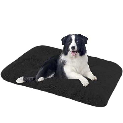 XXIUDEE Hundekissen, Katzenkörbchen, Maschinenwaschbar Hundesofa Hundebett Katzenbett, Hundekorb Haustier-Bett-Matte, Zwinger-Auflage, Hundekäfigbett, für Mittelgroße & Kleine Hunde(70x50x8cm) von XXIUDEE