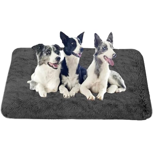 XXIUDEE Hundekissen Hundesofa Hundekorb, Katzenbett, Waschbar Hundekiste Matratze, Katzenbett Kissen, Zwinger-Auflage mit Anti-Rutsch-Boden für Katzen Große, Mittelgroße & Kleine Hunde(100x60x10cm) von XXIUDEE