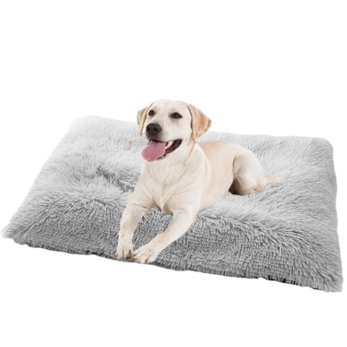 XXIUDEE Rutschfestes Hundebett Hundekissen, Hundekorb Hundekiste Matratze, Katzenbett Haustiere Katzen Kissen, Hundematratze Hundesofa Katzensofa, Haustierbett, für Klein-mittelgroße Hunde(65x48x8cm) von XXIUDEE