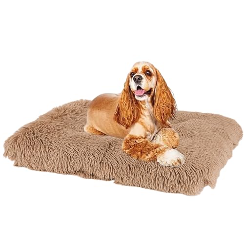 XXIUDEE Rutschfestes Hundematte, Haustier Sofa Hundebett, Hundekorb Katzenbett Hundesofa, Haustierbett Hundekissen, Zwinger-Auflage Hundekäfigbett, für Große, Mittelgroße & Kleine Hunde(122x85x12cm) XXIUDEE Rutschfestes Hundematte, Haustier Sofa Hundebett, Hundekorb Katzenbett Hundesofa, Haustierbett Hundekissen, Zwinger-Auflage Hundekäfigbett, für Große, Mittelgroße & Kleine Hunde(122x85x12cm) von XXIUDEE