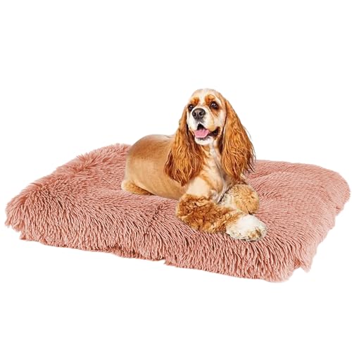 XXIUDEE Rutschfestes Hundematte, Haustier Sofa Hundebett, Hundekorb Katzenbett Hundesofa, Haustierbett Hundekissen, Zwinger-Auflage Hundekäfigbett, für Große, Mittelgroße & Kleine Hunde(65x48x8cm) XXIUDEE Rutschfestes Hundematte, Haustier Sofa Hundebett, Hundekorb Katzenbett Hundesofa, Haustierbett Hundekissen, Zwinger-Auflage Hundekäfigbett, für Große, Mittelgroße & Kleine Hunde(65x48x8cm) von XXIUDEE