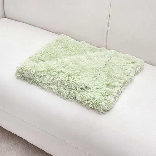 XXIUDEE Waschbare Hundedecken für Bett, Sofa, Autositz, warmer Schlaf, Katzenmatten, Welpendecken, Haustierüberwürfe, Hundebettbezüge, kratzfest, schmutzig, für Möbel im Innenbereich (Grün, 80 x 50 XXIUDEE Waschbare Hundedecken für Bett, Sofa, Autositz, warmer Schlaf, Katzenmatten, Welpendecken, Haustierüberwürfe, Hundebettbezüge, kratzfest, schmutzig, für Möbel im Innenbereich (Grün, 80 x 50 von XXIUDEE