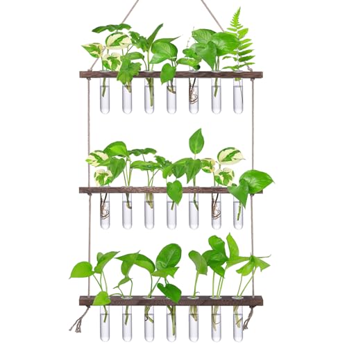 XXXFLOWER Anzuchtstation zum Aufhängen an der Wand mit 3 Ebenen, Holzständer, 21 Reagenzgläser, Pflanzenhalter, Hydrokulturpflanzen, Terrarium, Pflanzenliebhaber, Geschenke, Innen-/Gartendekoration XXXFLOWER Anzuchtstation zum Aufhängen an der Wand mit 3 Ebenen, Holzständer, 21 Reagenzgläser, Pflanzenhalter, Hydrokulturpflanzen, Terrarium, Pflanzenliebhaber, Geschenke, Innen-/Gartendekoration von XXXFLOWER