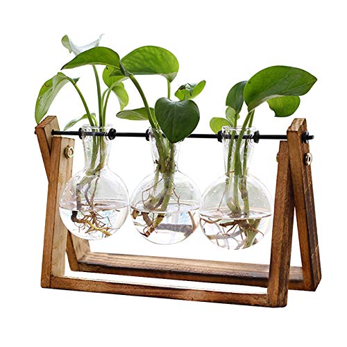 XXXFLOWER Pflanzen-Terrarium mit Holzständer, Luft-Pflanzgefäß, Glasvase, Metall-Drehgelenkhalter, Retro-Tischplatte für Hydrokultur, Zuhause, Garten, Büro, Dekoration – 3-flammige Vase von XXXFLOWER