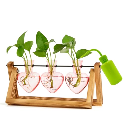 XXXFLOWER Pflanzterrarium mit Holzständer rosa 3 Herzen XXXFLOWER Pflanzterrarium mit Holzständer rosa 3 Herzen von XXXFLOWER