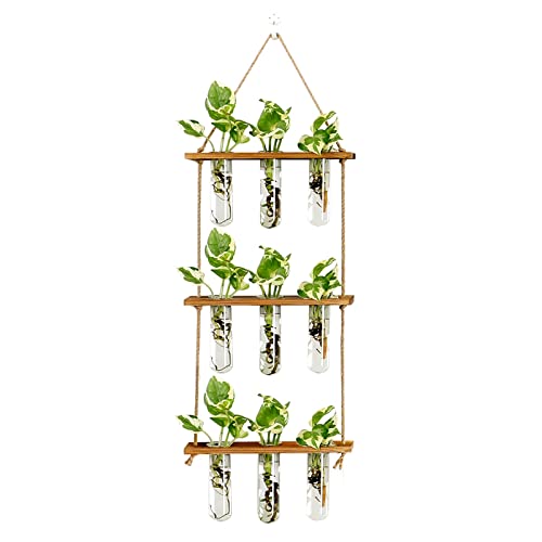 XXXFLOWER Wandbehang Anzuchtstation mit Holzständer Glas Reagenzgläser gestufte Pflanzgefäße Wandterrarium für Home Office Pflanzenhänger Blumenvasen Wanddekoration Hydrokultur-Stecklinge (9 XXXFLOWER Wandbehang Anzuchtstation mit Holzständer Glas Reagenzgläser gestufte Pflanzgefäße Wandterrarium für Home Office Pflanzenhänger Blumenvasen Wanddekoration Hydrokultur-Stecklinge (9 von XXXFLOWER