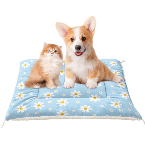 XYNHML Orthopädische Hundebett-Matte mit Gänseblümchen-Motiv (104 x 78 cm), bequeme Hundehüttenunterlage für Kiste, bedruckt, waschbar, Schlafmatte für kleine, mittelgroße und große Hunde und Katzen von XYNHML