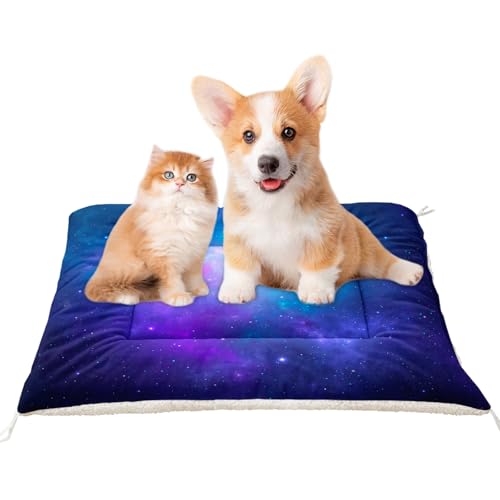 XYNHML Orthopädische Hundebett-Matte mit Galaxy-Weltraum-Motiv, weich, bequem, waschbar, für kleine und mittelgroße und große Hunde und Katzen, 104,4 x 78,9 cm, für den Außenbereich, Heimgebrauch XYNHML Orthopädische Hundebett-Matte mit Galaxy-Weltraum-Motiv, weich, bequem, waschbar, für kleine und mittelgroße und große Hunde und Katzen, 104,4 x 78,9 cm, für den Außenbereich, Heimgebrauch von XYNHML