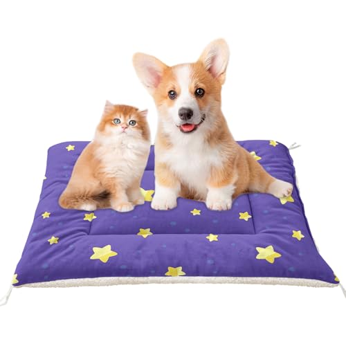 XYNHML Orthopädische Hundebett-Matte mit Sternen, 76,2 x 66 cm, bequem, bedruckt, waschbar, für kleine, mittelgroße und große Hunde und Katzen, für den Außenbereich, Heimgebrauch XYNHML Orthopädische Hundebett-Matte mit Sternen, 76,2 x 66 cm, bequem, bedruckt, waschbar, für kleine, mittelgroße und große Hunde und Katzen, für den Außenbereich, Heimgebrauch von XYNHML