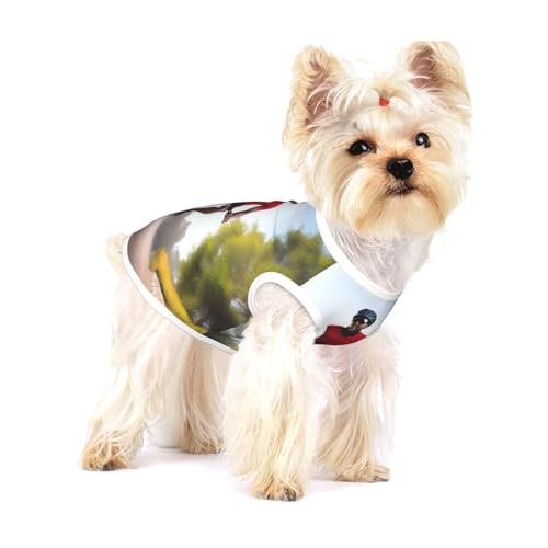 Active Lifestyle Hundeweste aus Baumwolle, Größe L, atmungsaktiv, bequem, stilvolle Bekleidung für Haustiere Active Lifestyle Hundeweste aus Baumwolle, Größe L, atmungsaktiv, bequem, stilvolle Bekleidung für Haustiere von XZDAL