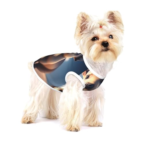 Ultra HD Creatures Hundeweste aus Baumwolle, Größe M, atmungsaktiv, bequem, stilvolle Bekleidung für Haustiere Ultra HD Creatures Hundeweste aus Baumwolle, Größe M, atmungsaktiv, bequem, stilvolle Bekleidung für Haustiere von XZDAL