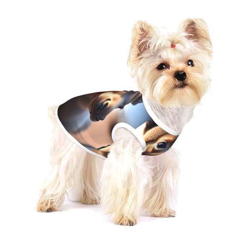 Ultra HD Realistische Hundeweste aus Baumwolle, Größe M, atmungsaktiv, bequem, stilvolle Bekleidung für Haustiere Ultra HD Realistische Hundeweste aus Baumwolle, Größe M, atmungsaktiv, bequem, stilvolle Bekleidung für Haustiere von XZDAL