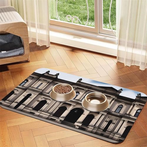 aOld Architecture Haustier-Futtermatte, saugfähig, Leder, rutschfest, 30 x 45 cm, schnell trocknend, wasserdicht, waschbar, Napfunterlage aOld Architecture Haustier-Futtermatte, saugfähig, Leder, rutschfest, 30 x 45 cm, schnell trocknend, wasserdicht, waschbar, Napfunterlage von XZDAL