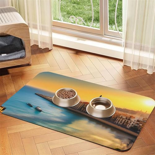 Sunset in Barcelona Haustier-Tischset, saugfähig, Leder, 30 x 45 cm, schönes Design, Katzen- und Hundenapfmatte, tragbare Aufbewahrung von XZDZWK