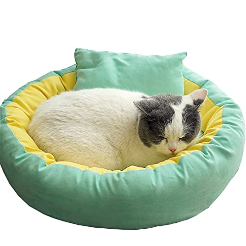 XZZHSM Katzenbett, Haustierbett, beruhigendes Katzenbett, Donut, Wildleder-Haustierbett, selbstwärmendes Haustiernest, rundes, warmes, bequemes, weiches Plüsch-Welpensofa, Katzenkissen (Farbe: Grün XZZHSM Katzenbett, Haustierbett, beruhigendes Katzenbett, Donut, Wildleder-Haustierbett, selbstwärmendes Haustiernest, rundes, warmes, bequemes, weiches Plüsch-Welpensofa, Katzenkissen (Farbe: Grün von XZZHSM