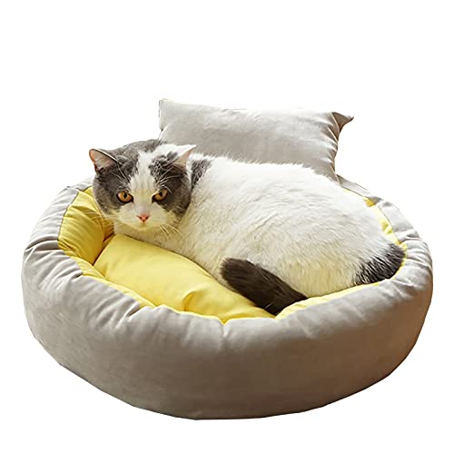 XZZHSM Katzenbett, Haustierbett, beruhigendes Katzenbett, Donut, Wildleder-Haustierbett, selbstwärmendes Haustiernest, rundes, warmes, bequemes, weiches Plüsch-Welpensofa, Katzenkissen (Farbe: Grau XZZHSM Katzenbett, Haustierbett, beruhigendes Katzenbett, Donut, Wildleder-Haustierbett, selbstwärmendes Haustiernest, rundes, warmes, bequemes, weiches Plüsch-Welpensofa, Katzenkissen (Farbe: Grau von XZZHSM
