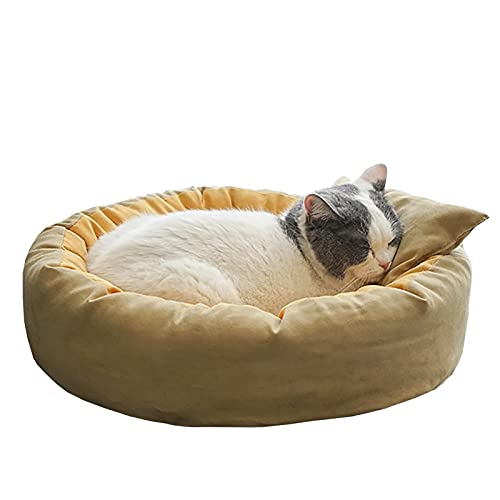 XZZHSM Katzenbett, Haustierbett, beruhigendes Katzenbett, Donut, Wildleder-Haustierbett, selbstwärmendes Haustiernest, rundes, warmes, bequemes, weiches Plüsch-Welpensofa, Katzenkissen (Farbe: Khak XZZHSM Katzenbett, Haustierbett, beruhigendes Katzenbett, Donut, Wildleder-Haustierbett, selbstwärmendes Haustiernest, rundes, warmes, bequemes, weiches Plüsch-Welpensofa, Katzenkissen (Farbe: Khak von XZZHSM