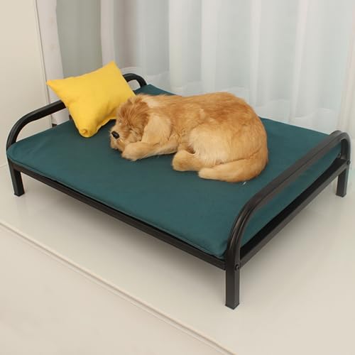 XZZHSM Katzenbett, Metallrahmen, erhöhte Couch, Hundehütte, faltbar, Abnehmbarer tragbarer Haustierbettrahmen, einfache Montage, langlebige Ruhebettausrüstung für drinnen und draußen (Farbe: Schwar XZZHSM Katzenbett, Metallrahmen, erhöhte Couch, Hundehütte, faltbar, Abnehmbarer tragbarer Haustierbettrahmen, einfache Montage, langlebige Ruhebettausrüstung für drinnen und draußen (Farbe: Schwar von XZZHSM